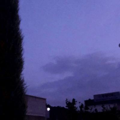 完美世界手游港版下载