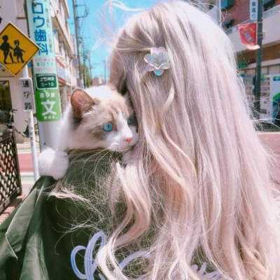 猫恋奇谭破解版下载